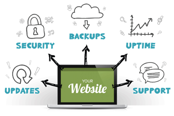 dich vu cham soc website can tho