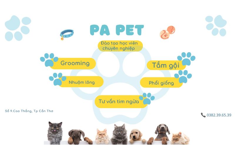 PA Pet Cần Thơ - Trung Tâm Chăm Sóc Thú Cưng