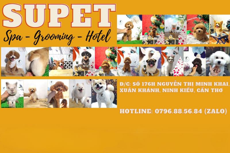 SUPET Spa - Grooming & Hotel