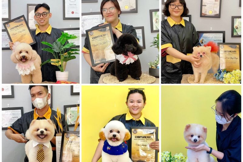DG PET HOME- Trung tâm đào tạo cắt tỉa lông thú cưng Cần Thơ chuyên nghiệp
